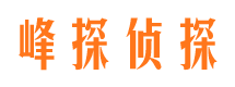 大方侦探公司